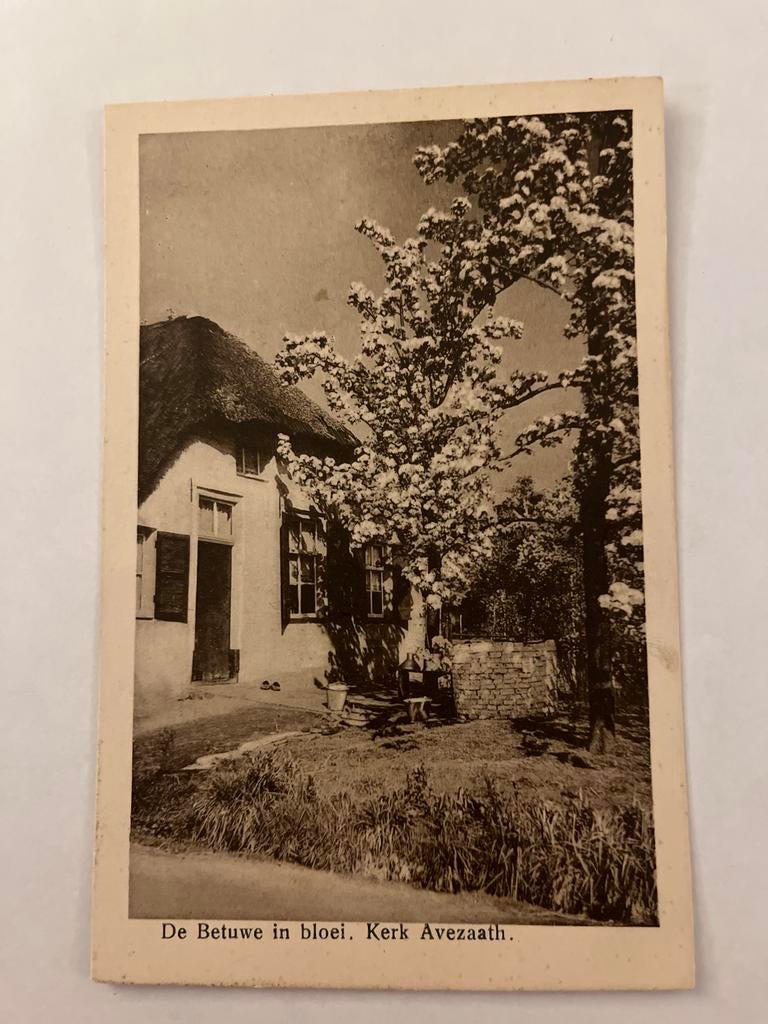 ansichtkaart Kerk Avezaath, Betuwe in bloei, Verzamelen, Ansichtkaarten | Nederland, Ophalen of Verzenden, Ongelopen, Gelderland