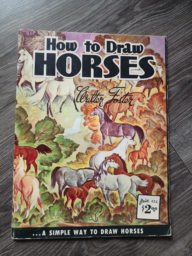 Painting oil, draw horses, Hobby en Vrije tijd, Tekenen, Ophalen, Gebruikt, Overige typen