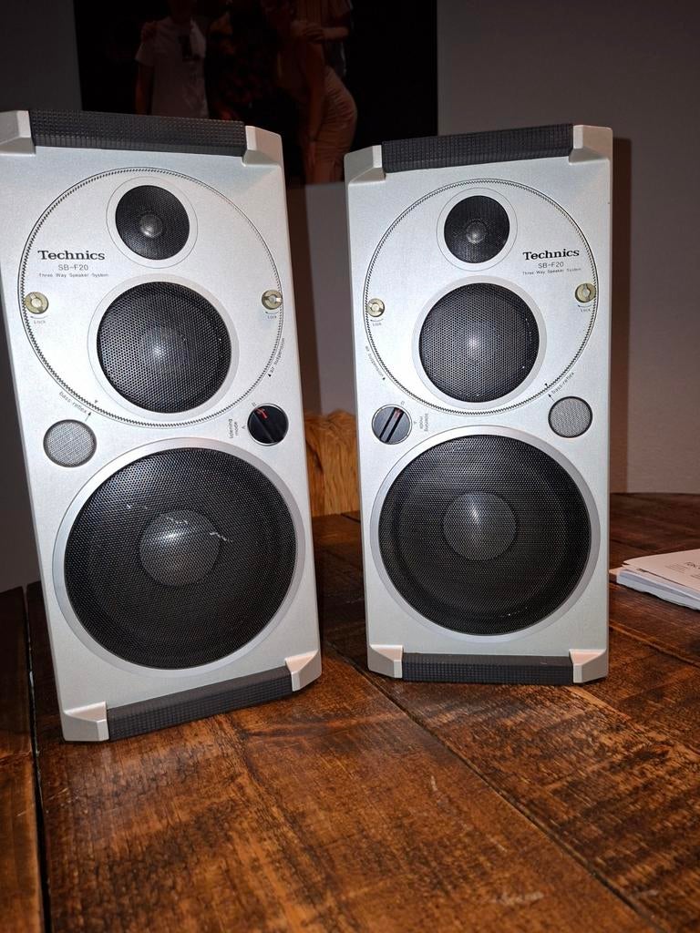 Leuk vintage setje Technics SB-F20, Audio, Tv en Foto, Overige merken, Gebruikt, Ophalen of Verzenden, Minder dan 60 watt