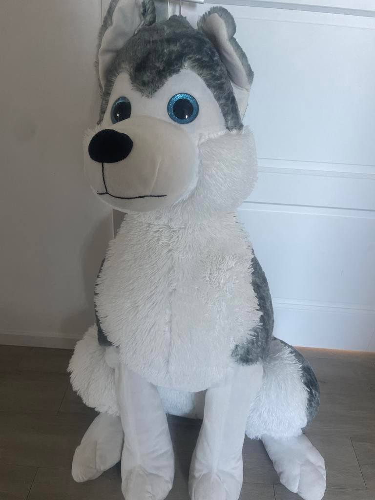 Grote knuffelhond, husky, Ophalen, Grijs, Hond, Zo goed als nieuw