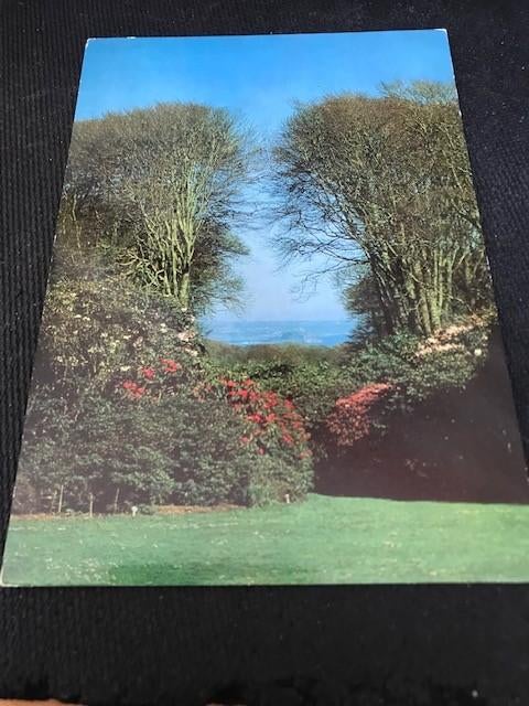 Cornwall, Engeland, Ophalen of Verzenden, Voor 1920, Ongelopen, Frankrijk