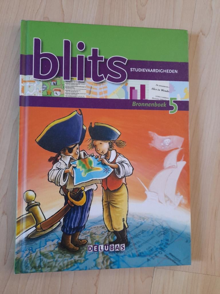 TAAL METHODE BLITS BRONNENBOEK GROEP 5 STUDIEVAARDIGHEDEN, Ophalen of Verzenden, Gelezen, Overige niveaus, Nederlands