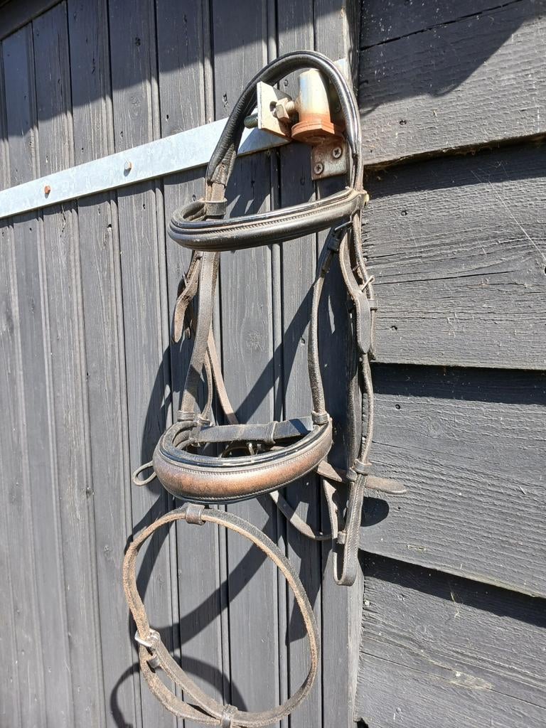 Hoofdstel cob, Dieren en Toebehoren, Paarden en Pony's | Hoofdstellen en Tuigage, Ophalen of Verzenden