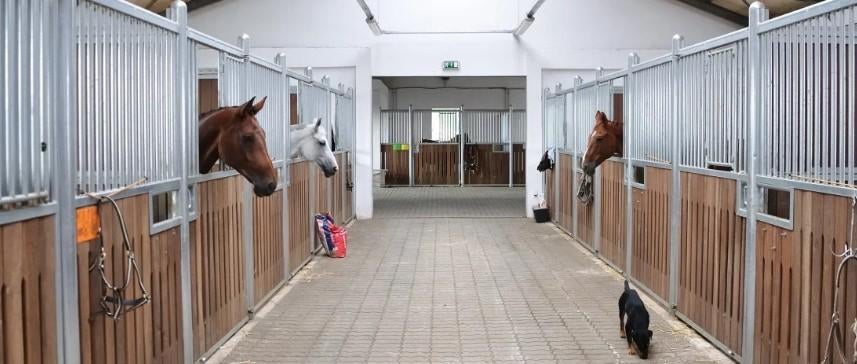 Gezocht: Stalling voor mijn paard