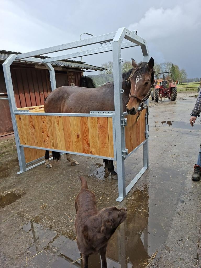 Nieuwe opvoel/behandelbox, Stalling, 1 paard of pony