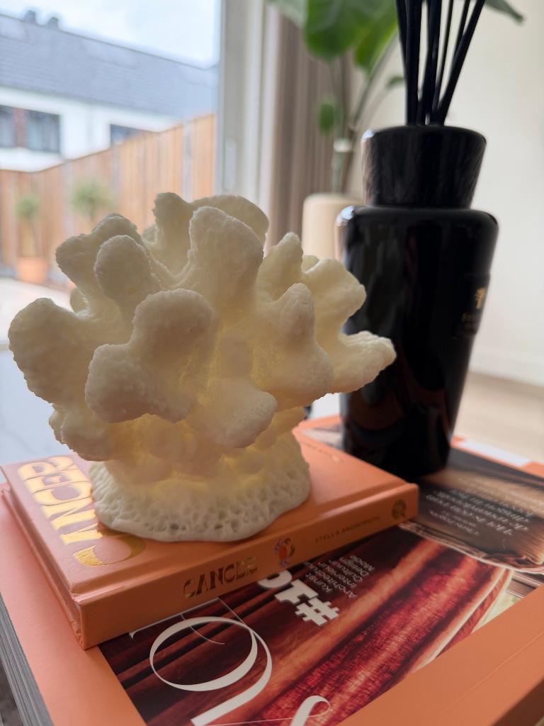 Richmond Accesoire Koraal | NIEUW, Overige materialen, Nieuw, Crème, Ophalen of Verzenden