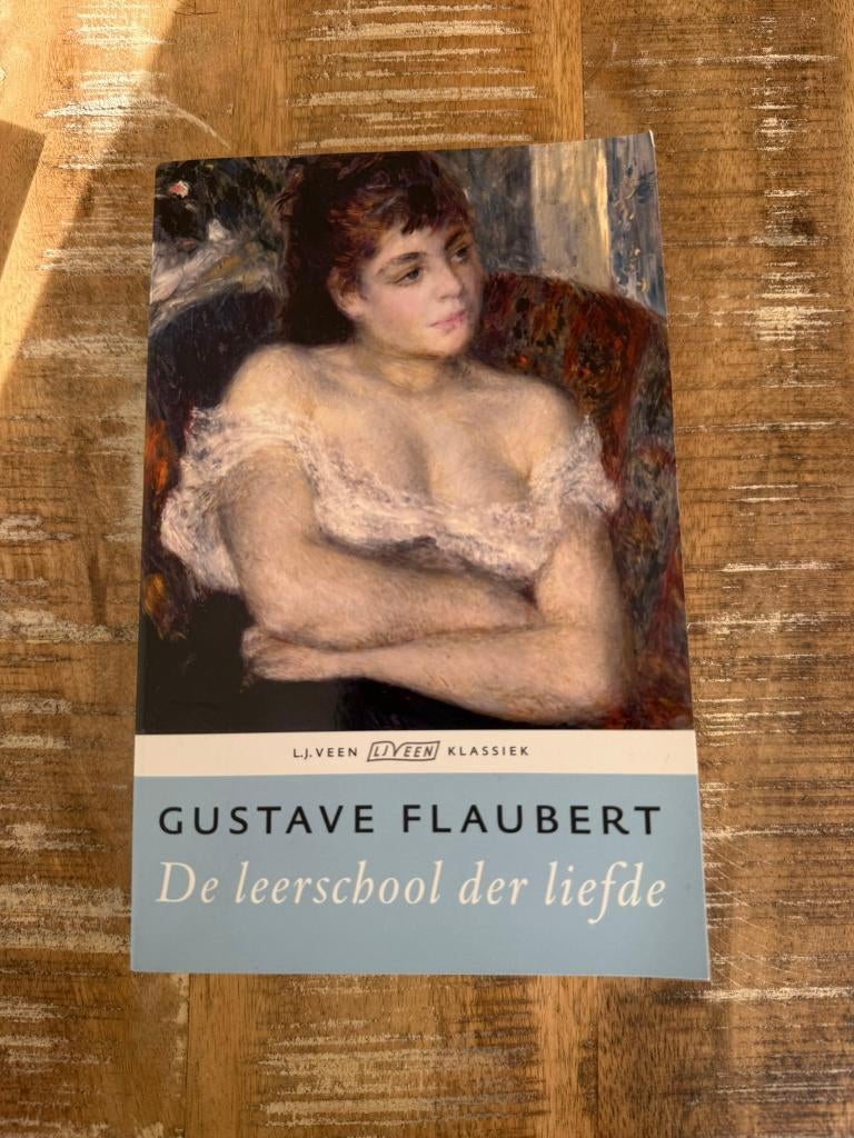 De leerschool der liefde - Gustave Flaubert, Boeken, Ophalen of Verzenden, Zo goed als nieuw, Gustave Flaubert, België