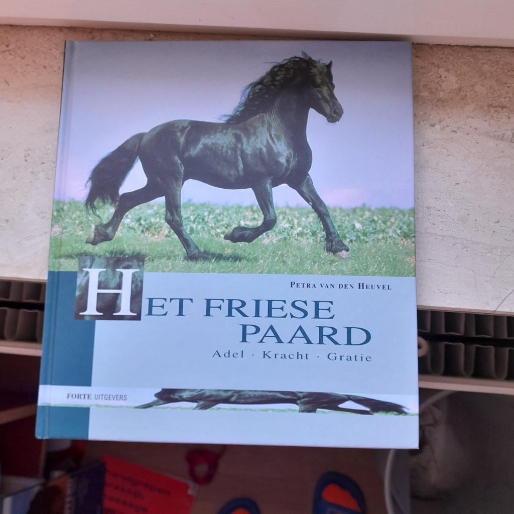 het friese paard, Nieuw, Ophalen of Verzenden, Petra van den heuvel, Paarden of Pony's