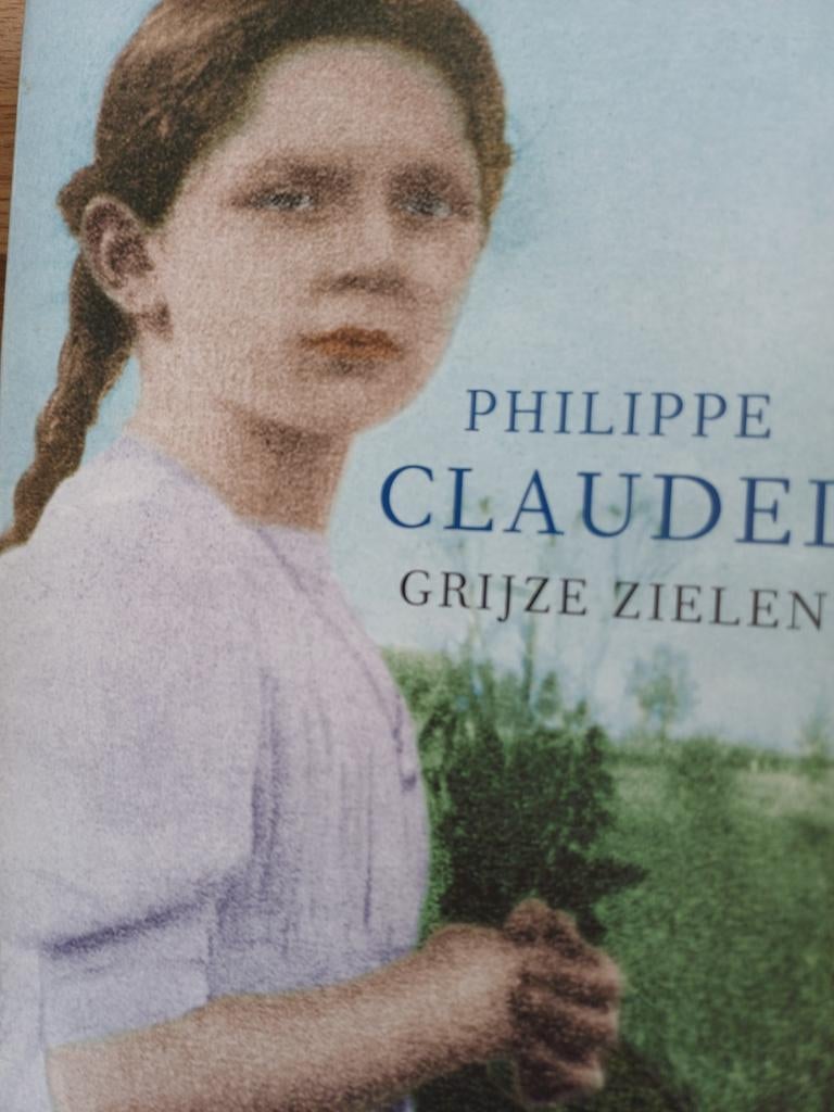 Philippe Claudel - Grijze zielen, Ophalen of Verzenden, Zo goed als nieuw, Philippe Claudel
