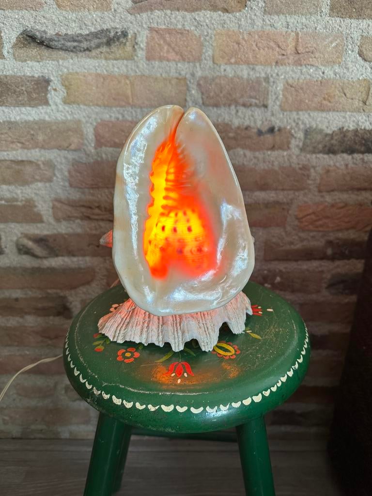 Cassis Cornuta schelp lamp, Antiek en Kunst, Ophalen of Verzenden