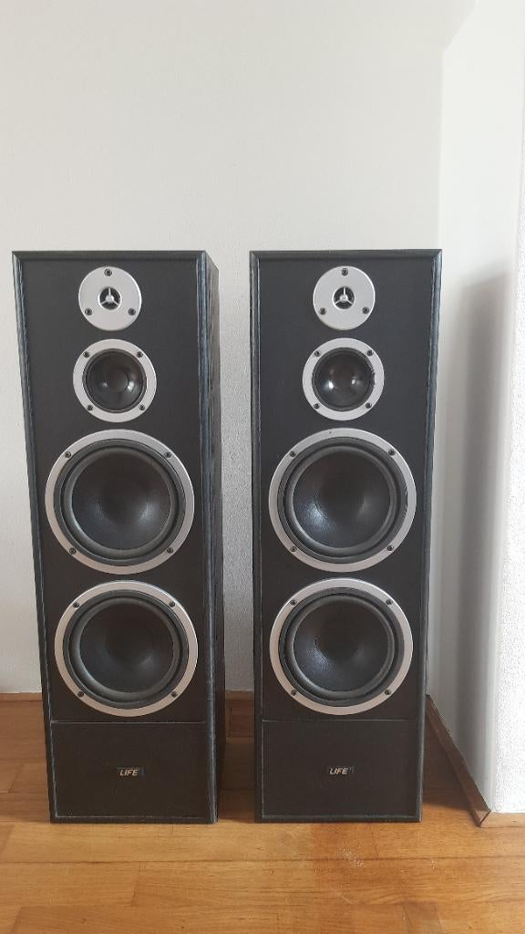 Vintage Life luidsprekers, zuilen, 120 - 200w, L8992, Audio, Tv en Foto, Luidsprekers, Zo goed als nieuw, 120 watt of meer, Front, Rear of Stereo speakers