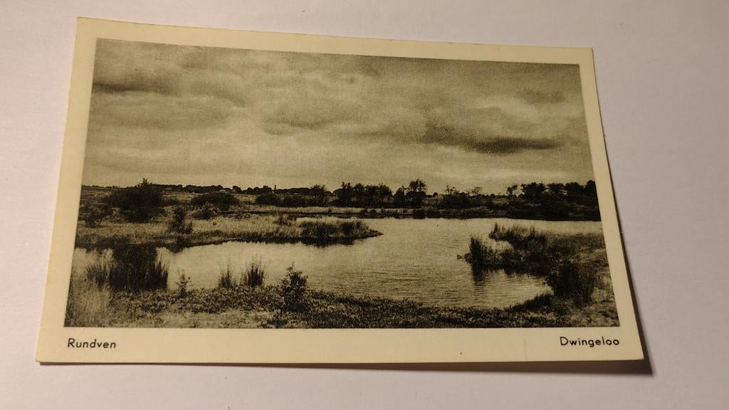 Dwingeloo Rundven, Ophalen of Verzenden