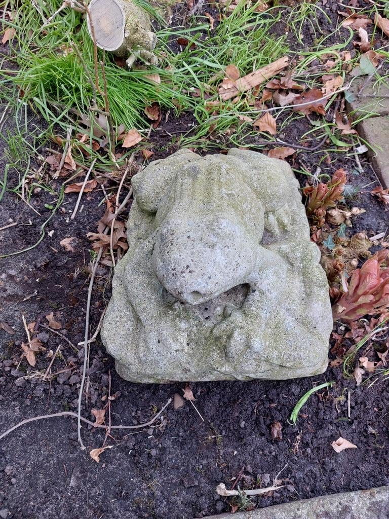 Stenen Tuinbeeld Kikker - Decoratie voor Buiten, Ophalen, Gebruikt, Steen, Dierenbeeld