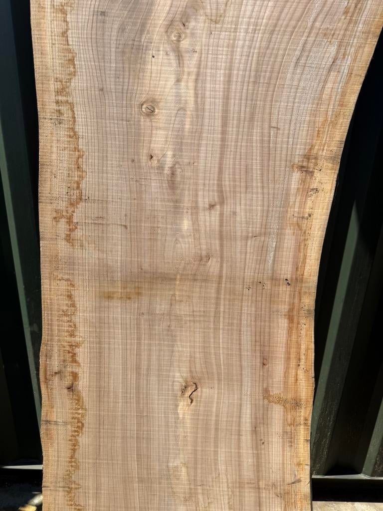 4 zeer mooie iepen boomstambladen voor 400 euro, Ophalen, Planken, Zo goed als nieuw, Hardhout