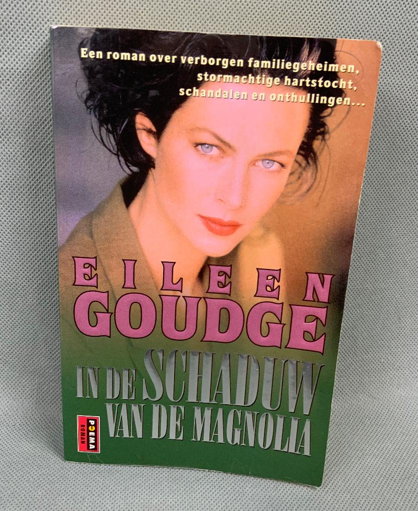 Boek / roman In de schaduw van de magnolia - Eileen Goudge, Gelezen, Ophalen of Verzenden, Eileen Goudge, Amerika