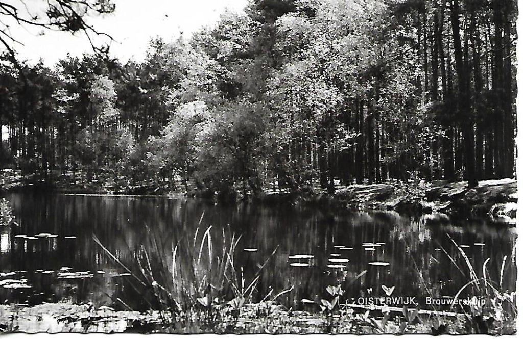 Oisterwijk- -Brouwerskuip., Verzenden, 1960 tot 1980, Gelopen, Noord-Brabant