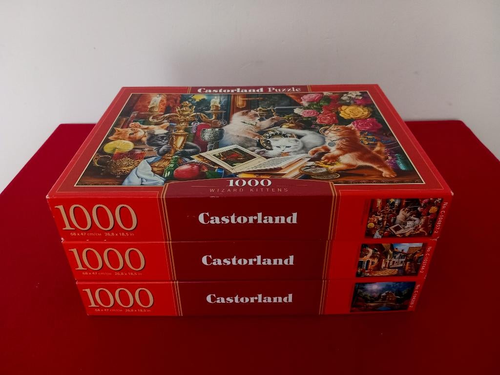 3 Castorland puzzels van 1000 stukjes voor EUR 10,00, Ophalen of Verzenden, 500 t/m 1500 stukjes, Zo goed als nieuw, Legpuzzel
