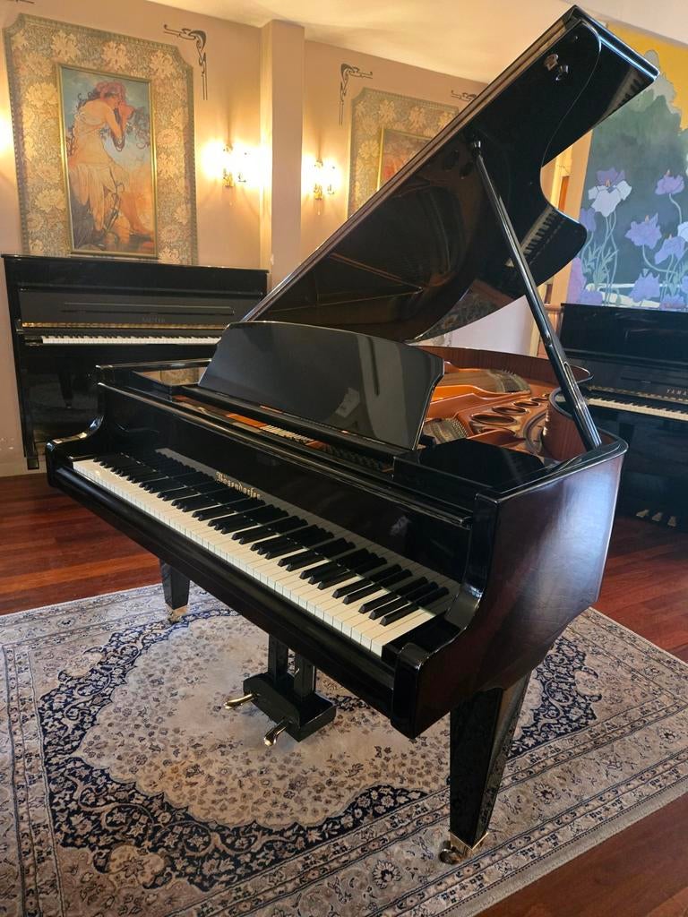 Bösendorfer 200, Ophalen, Gebruikt, Zwart, Hoogglans