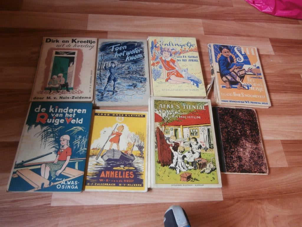 Boek afkes tiental eenlingetje toen het water kwam annelies, Boeken, Ophalen of Verzenden, Gelezen, Osinga