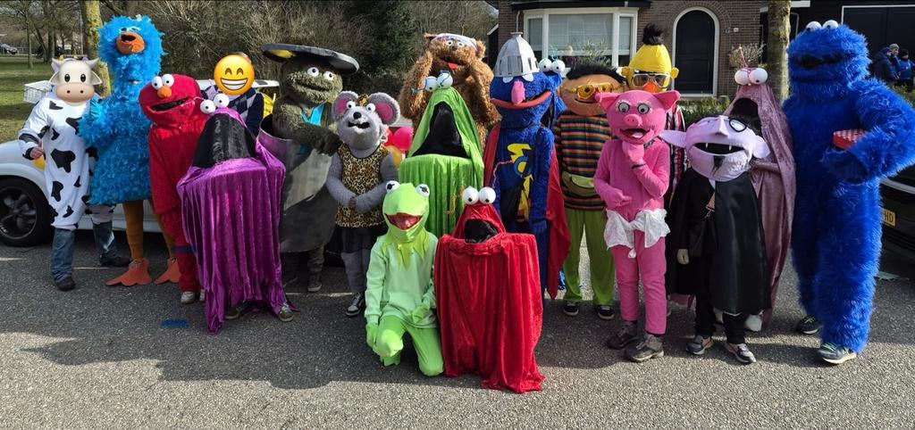 Sesamstraat Carnaval Loopgroep Kostuums, Kleding | Dames, Carnavalskleding en Feestkleding, Carnaval, Kleding, Gedragen, Ophalen