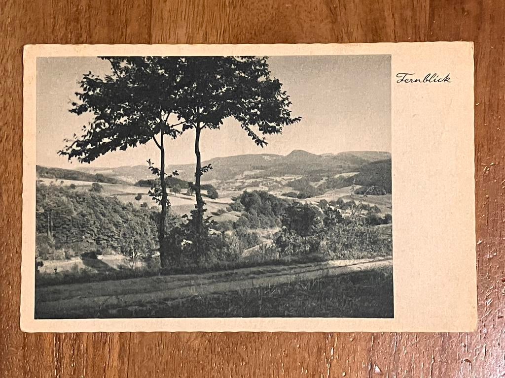 Fernblick 1942, Ophalen of Verzenden, Landmacht, Duitsland, Foto of Poster