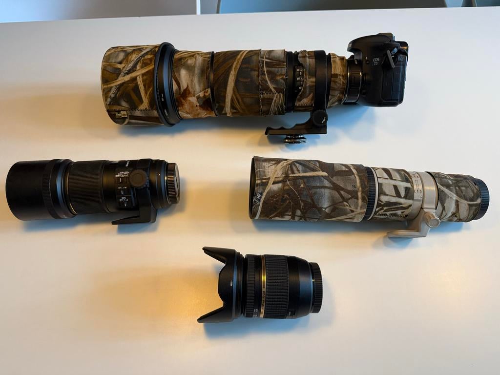 Sigma 120-300mm tele f/2.8 APO DG HSM OS Telelens canon, Audio, Tv en Foto, Fotografie | Lenzen en Objectieven, Ophalen of Verzenden