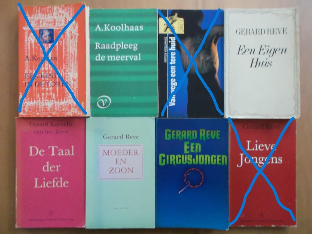 Grote Nederlandse literatuur collectie, Ophalen of Verzenden, Zo goed als nieuw, Nederland