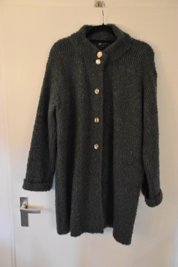 prachtig zgan dik groen vest maat XXL DIDI, Kleding | Dames, Maat 46/48 (XL) of groter, Didi, Ophalen of Verzenden, Zo goed als nieuw