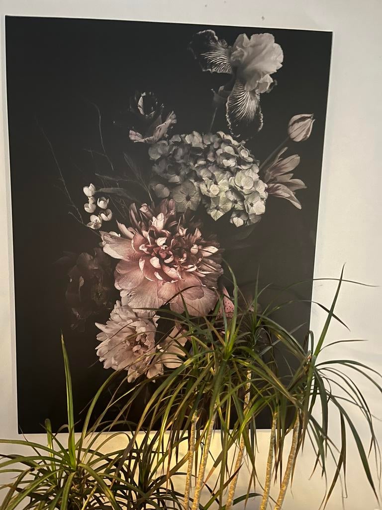 Mooi schilderij. 80x60 cm, Ophalen of Verzenden