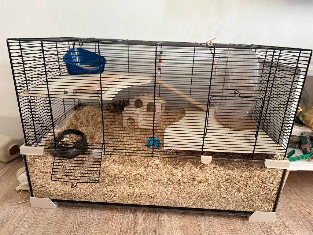 Hamsterkooi met accessoires – compleet pakket, Kooi, Gebruikt, Minder dan 75 cm, Hamster