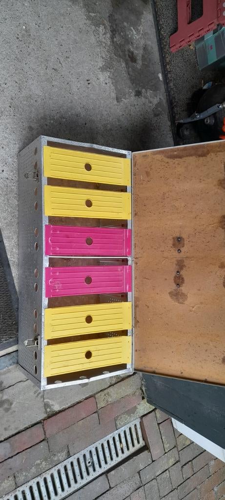 Duiven transportbox voor 6 duiven, Bijen