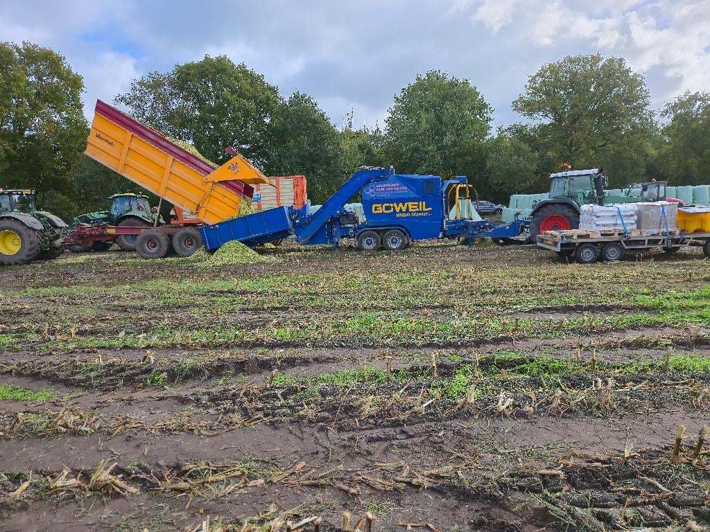 Maisbalen, Ophalen of Verzenden, Vee