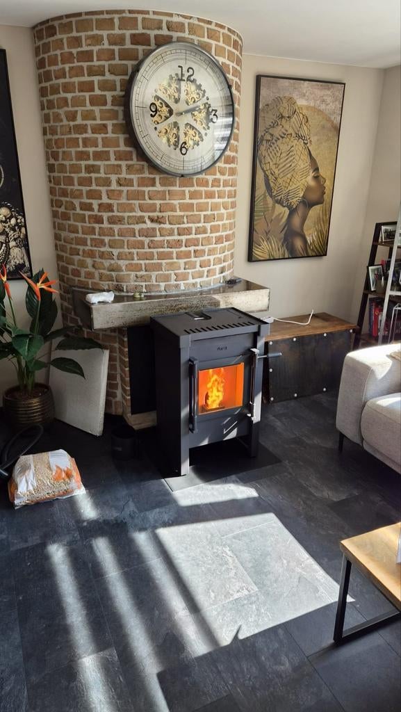 Jacobus 6 pelletkachel, Huis en Inrichting, Kachels, Gebruikt, Ophalen of Verzenden, Pelletkachel, Vrijstaand