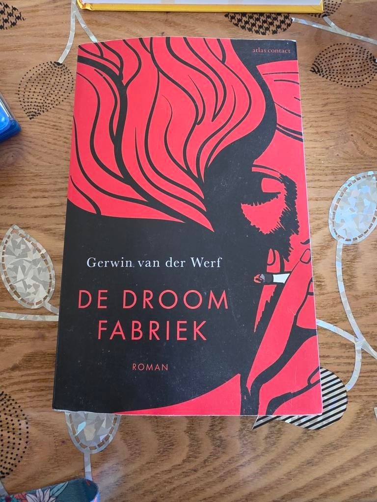 De Droomfabriek - Gerwin van der Werf, Ophalen of Verzenden