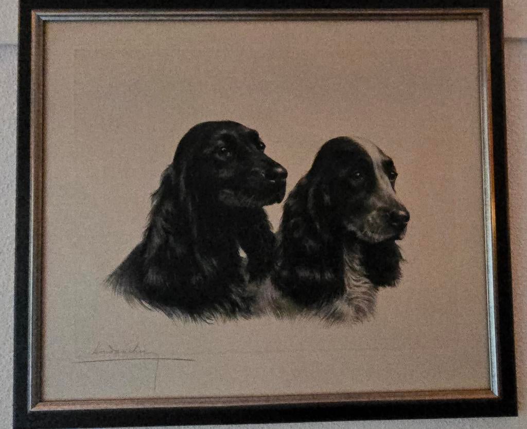 Prachtige litho van cocker spaniels door Leon Danchin, Ophalen