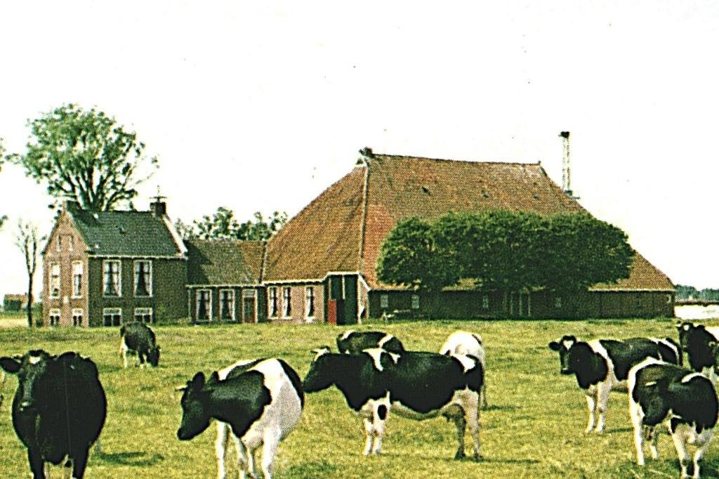 802292 Vrouwenpolder Zeeland 1975 Warga Camping Oranjezon, Ophalen of Verzenden, 1960 tot 1980, Gelopen, Friesland