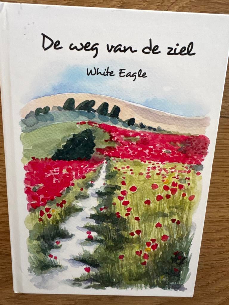 De weg van de ziel - White Eagle (Hardcover), Boeken, Esoterie en Spiritualiteit, Ophalen of Verzenden, Gelezen, Spiritualiteit algemeen