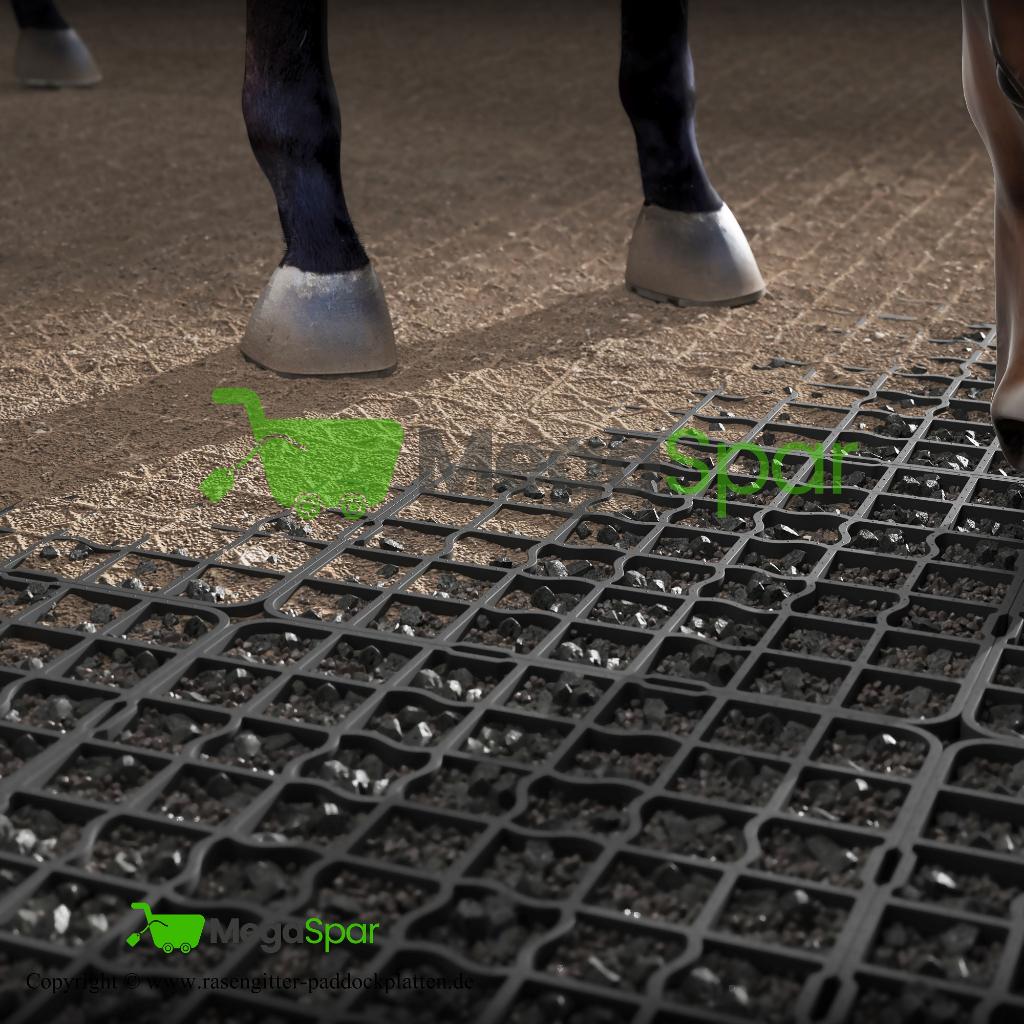 ReitPRO Paddockplaten & Grastegels - Duurzame Paardenmatten, Weidegang