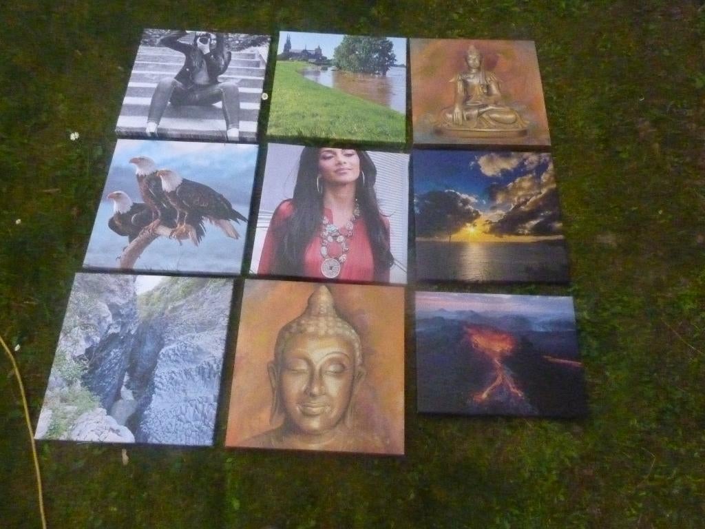 mooie canvas schilderijen zie foto,s zijn nooit gebruikt, Ophalen, Minder dan 50 cm, Zo goed als nieuw, Schilderij