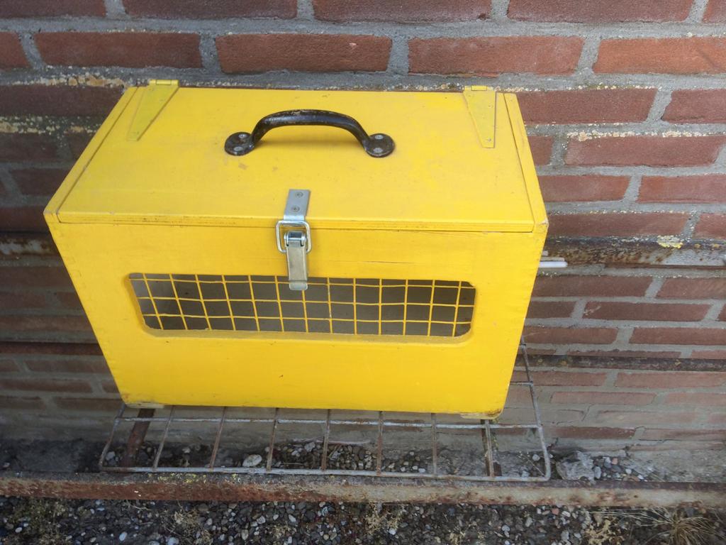 Duivenmand / cavia/ konijn transport kooi / kippen, Ophalen of Verzenden, Gebruikt