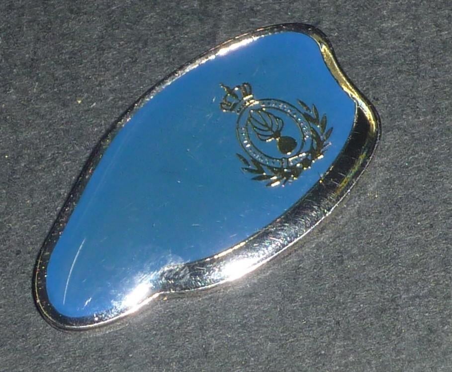 Koninklijke Marechaussee Baret pin, Ophalen of Verzenden, Marechaussee, Nederland, Embleem of Badge