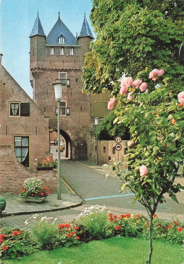 Hattem, Dijkpoort, Ophalen of Verzenden, 1980 tot heden, Gelopen, Gelderland