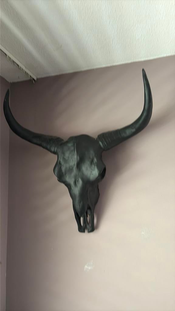 Stierenkop, Zwart, Decoratieobject, Zo goed als nieuw, Kunststof