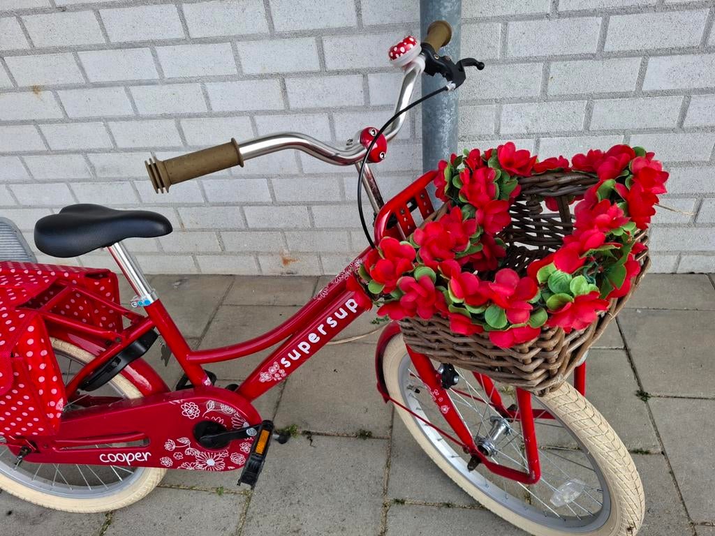 Meisjesfiets 20 inch, Ophalen of Verzenden, Gebruikt, 20 inch