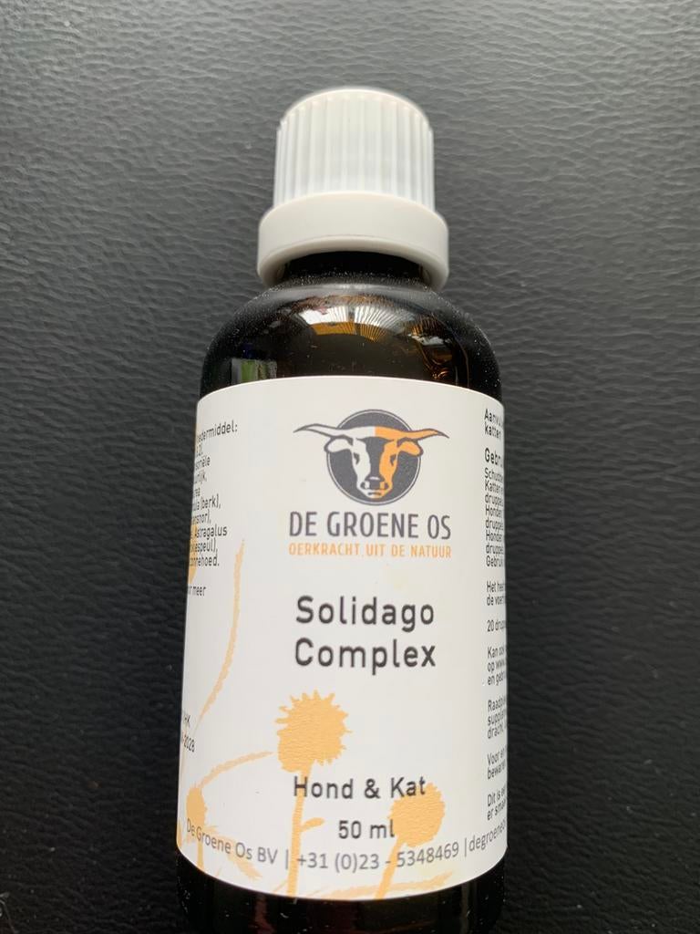 De groene os( solidago complex), Dieren en Toebehoren, Ophalen of Verzenden