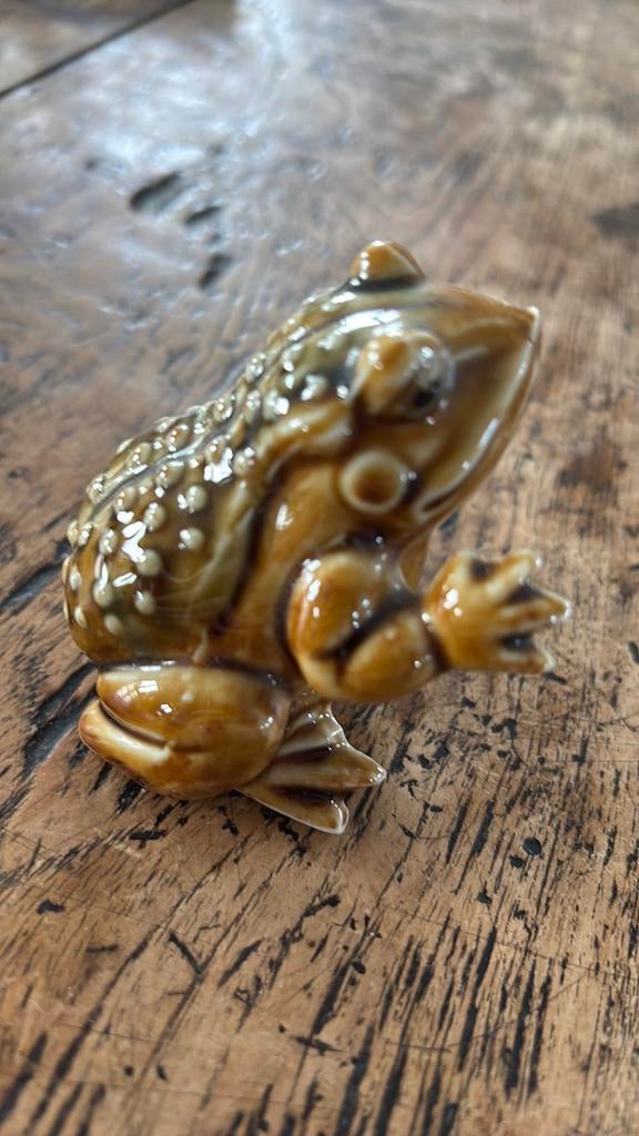 Kikker foreign, Ophalen of Verzenden, Zo goed als nieuw, Reptiel of Amfibie, Beeldje of Figuurtje