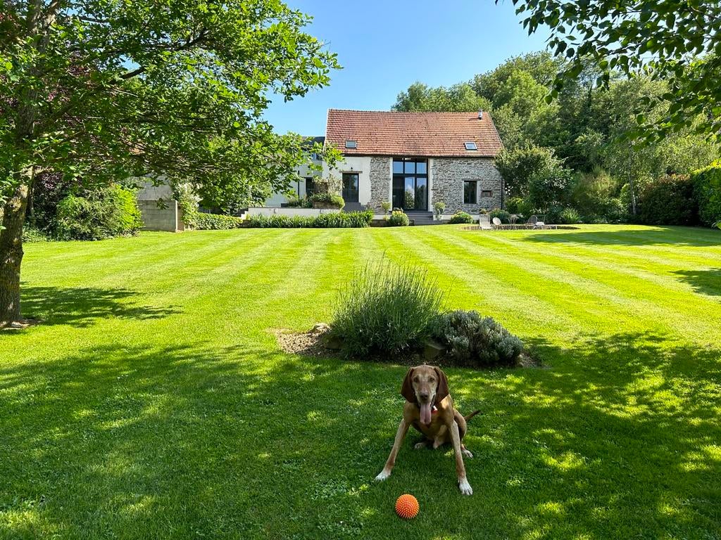 Vrijstaand familiehuis midden Frankrijk Cher/Creuse, Huizen en Kamers, Buitenland, Frankrijk, 245 m², Woonhuis, Landelijk