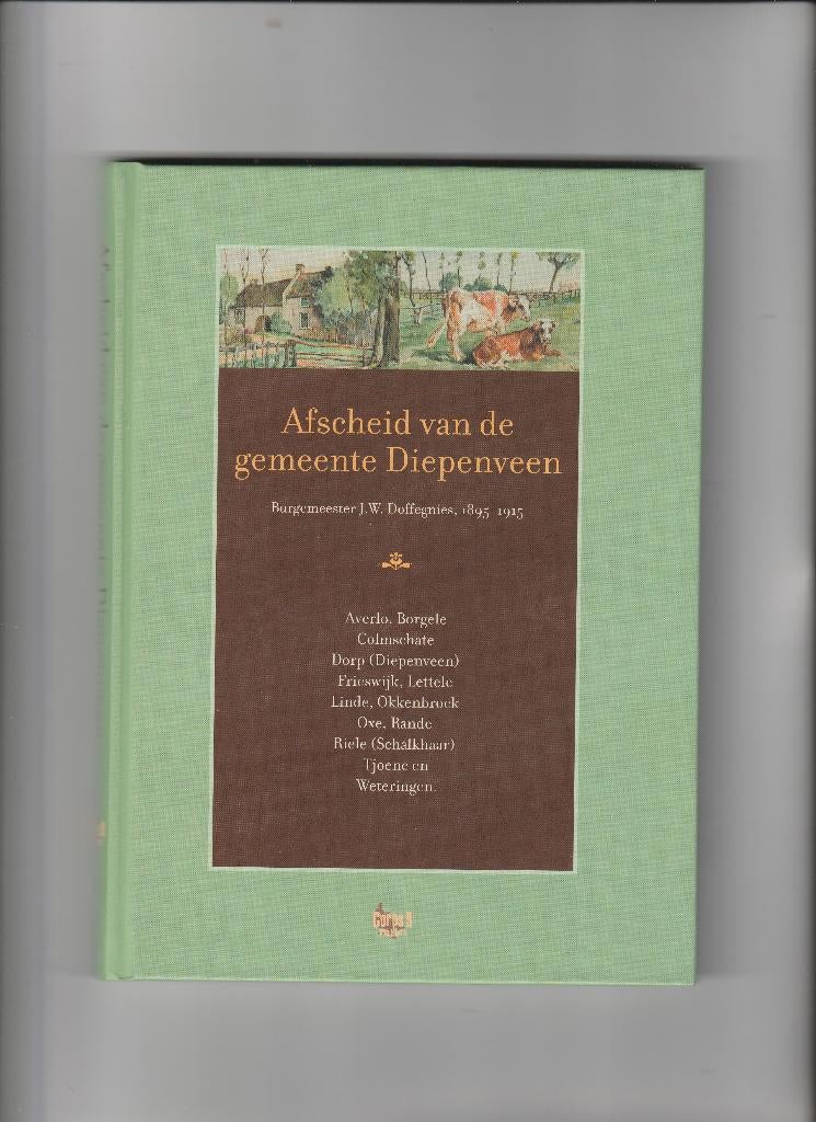 afscheid van de gemeente diepenveen, Boeken, Ophalen of Verzenden, Zo goed als nieuw