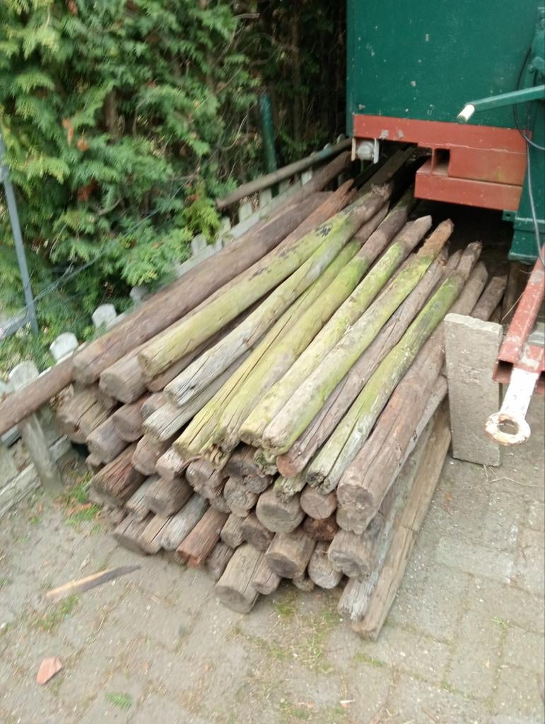 60 weide palen, lengte 1,50 m met prikkeldraad, Ophalen