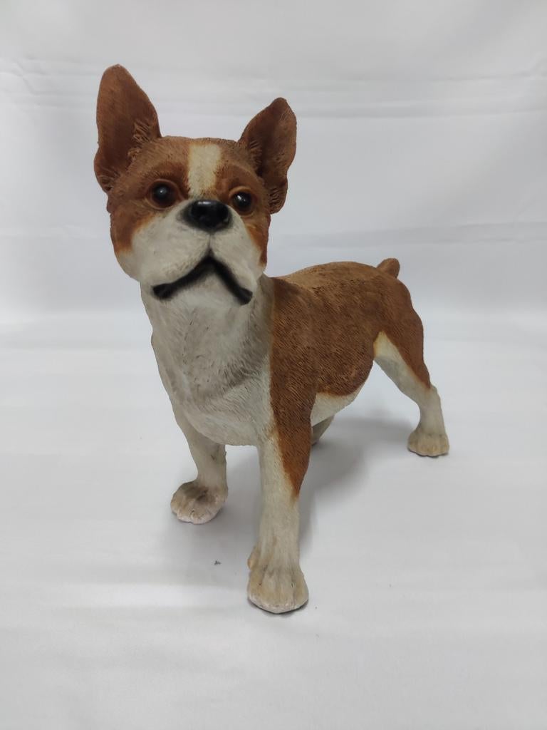 Boston Terriër hondje bruin met wit., Ophalen of Verzenden, Nieuw, Dier